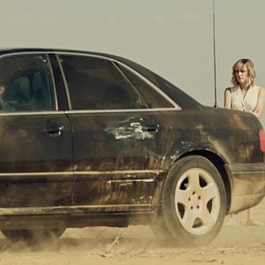 Foto Animales sin collar