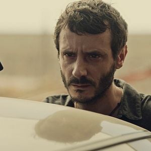 Foto Animales sin collar