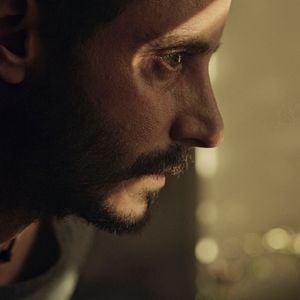 Foto Animales sin collar