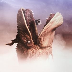 Foto En las estrellas