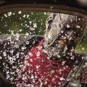 Foto Jeepers Creepers 3