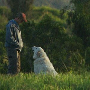 Foto Mi gran pequeña granja
