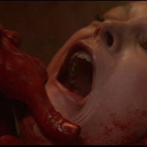 Foto El tren del terror