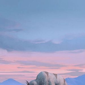 Foto Avatar: La leyenda de Aang (2024)