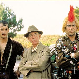 Foto Dos sabuesos despistados