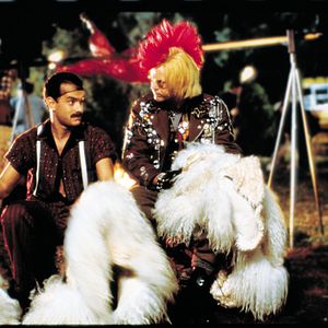 Foto Dos sabuesos despistados