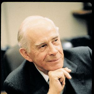 Foto Dos sabuesos despistados