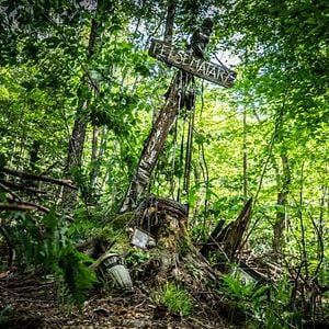 Foto Cementerio de animales