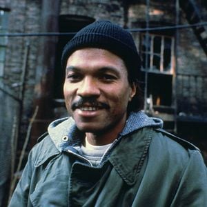 Foto Halcones de la noche