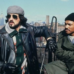 Foto Halcones de la noche