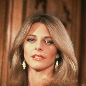 Foto Halcones de la noche