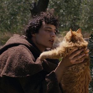 Foto Un violent désir de bonheur