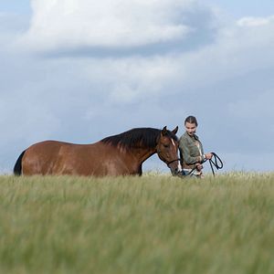 Foto Un verano inolvidable