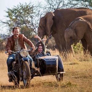 Foto Mia y el león blanco