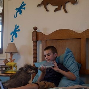 Foto Mia y el león blanco