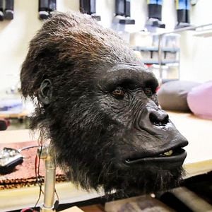 Foto The Frankenstein Complex