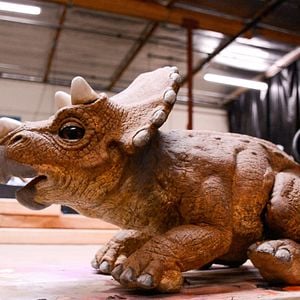 Foto The Frankenstein Complex