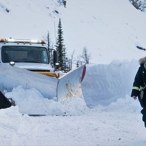 Foto Venganza bajo cero