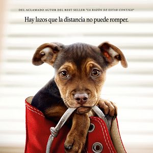 Foto Uno más de la familia