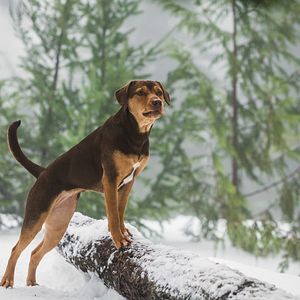 Foto Uno más de la familia