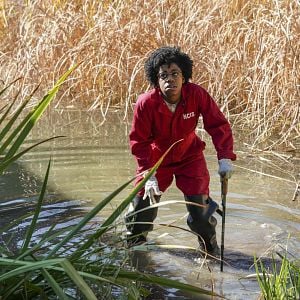 Foto NAVY: Investigación criminal