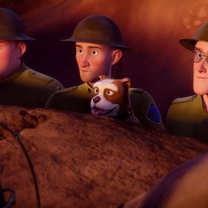 Foto Stubby, un héroe muy especial