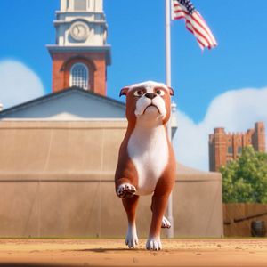 Foto Stubby, un héroe muy especial