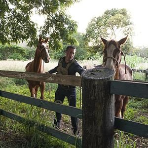 Foto Alex O'Loughlin