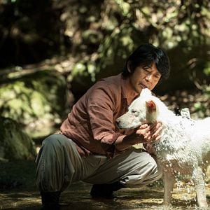 Foto Viaje a Nara (Vision)