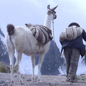 Foto Wiñaypacha (Eternity)