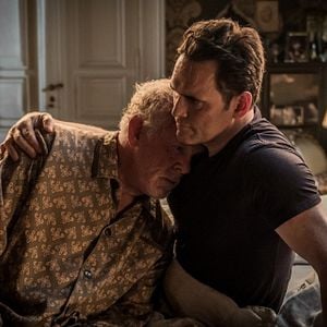 Foto Con la cabeza llena de miel