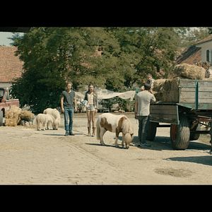 Foto Un verano inolvidable