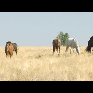 Foto Un verano inolvidable