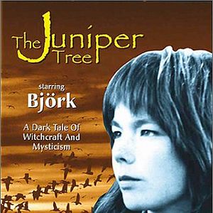 Foto Cuando fuimos brujas