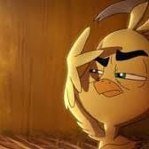 Foto Otra película de huevos y un pollo