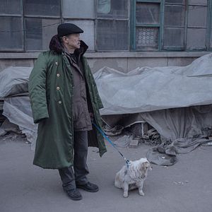 Foto An Elephant Sitting Still