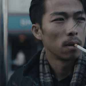 Foto An Elephant Sitting Still