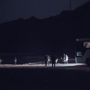 Foto An Elephant Sitting Still