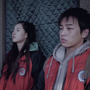 Foto An Elephant Sitting Still