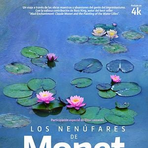 Foto Los nenúfares de Monet