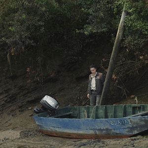 Foto Oreina (Ciervo)