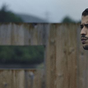 Foto Oreina (Ciervo)