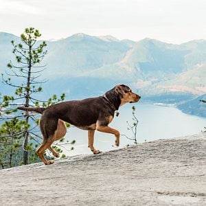 Foto Uno más de la familia