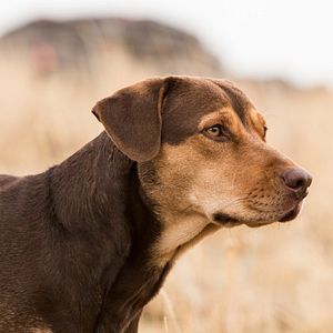 Foto Uno más de la familia