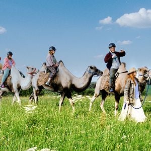 Foto Birgit Minichmayr