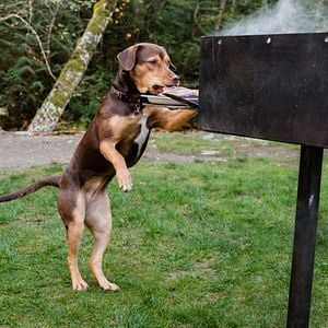 Foto Uno más de la familia