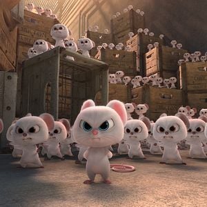 Foto Operación Cacahuete 2. Misión: Salvar el parque