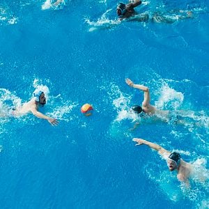 Foto ¡Al agua gambas!