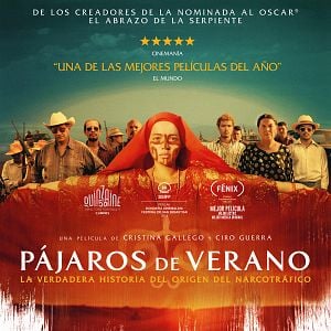 Foto Pájaros de Verano