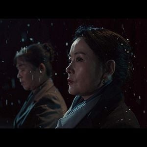 Foto Un perro ladrando a la luna